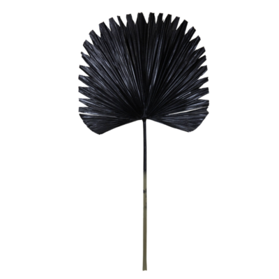 Product IJ Qn Ncxf afbeelding