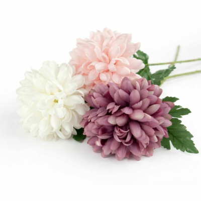 Product c Rsl SCQG afbeelding