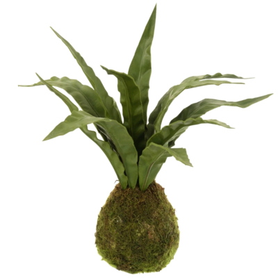 Product u OLM Ibgf afbeelding