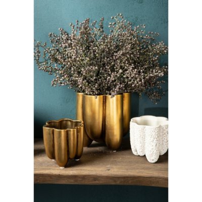 Product jptv H Rql afbeelding