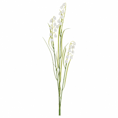 Product xw W Zg L Jh afbeelding