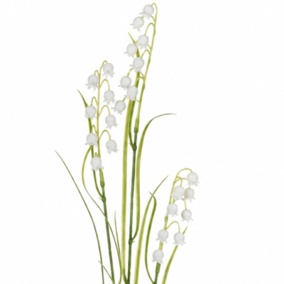 Product fnd DT Vpc afbeelding