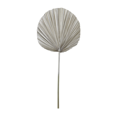 Product Bz Yc Pofd afbeelding