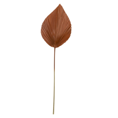 Product KP Zhz NBM afbeelding