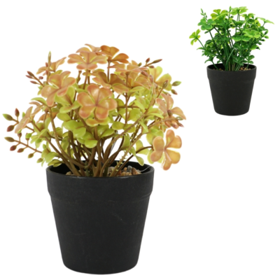 Product P Nbf C Lyi afbeelding