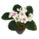 Product mvr Obi AK afbeelding