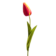 Product GU Johcy B afbeelding