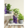 Product DUC Gubk F afbeelding