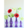 Product j KIZG Pxh afbeelding