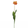 Product q Kzd T Vyf afbeelding