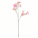 Product QPYI Mjst afbeelding