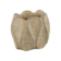 Product g S Um Jf DE afbeelding