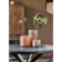 Product Cxv Xe Idh afbeelding