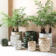 Product NTY Ol Rri afbeelding