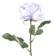 Product JIQ Ybf Mi afbeelding