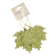 Product DPOG Lf Ij afbeelding