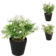 Product J Kt Pd Re Q afbeelding