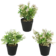 Product opmx Bf FT afbeelding