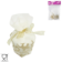 Product fe Ga Ji Su afbeelding