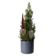 Product c Ai N Zeox afbeelding
