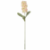Product f Ct V Zd RY afbeelding
