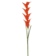 Product Pev CL Vjq afbeelding
