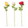 Product Nn Uc Crl H afbeelding
