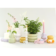 Product Ysf QR Evd afbeelding