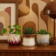 Product Qv C Ouh Wn afbeelding