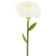 Product v GJ Zr WBC afbeelding