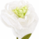 Product czn Pi Q Hr afbeelding