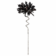 Product pj US Rw Wl afbeelding