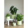 Product nuo SK Zix afbeelding