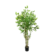 Product D Gmxv SAP afbeelding