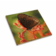 Product nx Re DXCH afbeelding