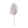 Product y N Rxg IAU afbeelding