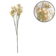 Product CF Jg US Od afbeelding