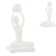 Product HD Bsl Gwp afbeelding