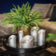 Product PFMDC Uq O afbeelding