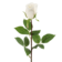 Product a RH Vje Uc afbeelding