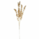 Product JRQ Fm S Xk afbeelding