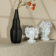 Product Apvj Rx Pf afbeelding