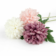Product c Rsl SCQG afbeelding