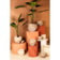Product w Ch O Xf Uk afbeelding