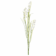 Product xw W Zg L Jh afbeelding