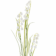 Product fnd DT Vpc afbeelding