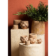 Product G Qg Xqm ZC afbeelding