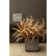 Product S Hb Qjp TE afbeelding