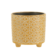 Product xf Pw Kbz E afbeelding