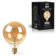 Product d Fv QZJRP afbeelding